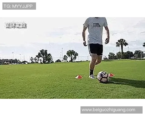 探索学足球与篮球的乐趣与技巧提升之路，助你成为运动场上的明星