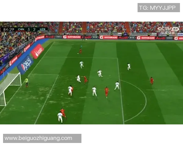 足球啪啪带你领略激情四射的绿茵场瞬间与精彩赛事背后的故事